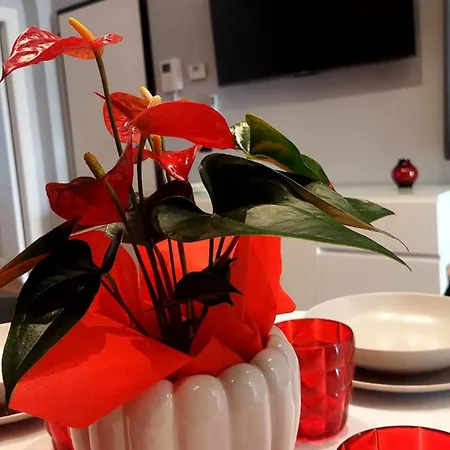 Dante 110 * Барі